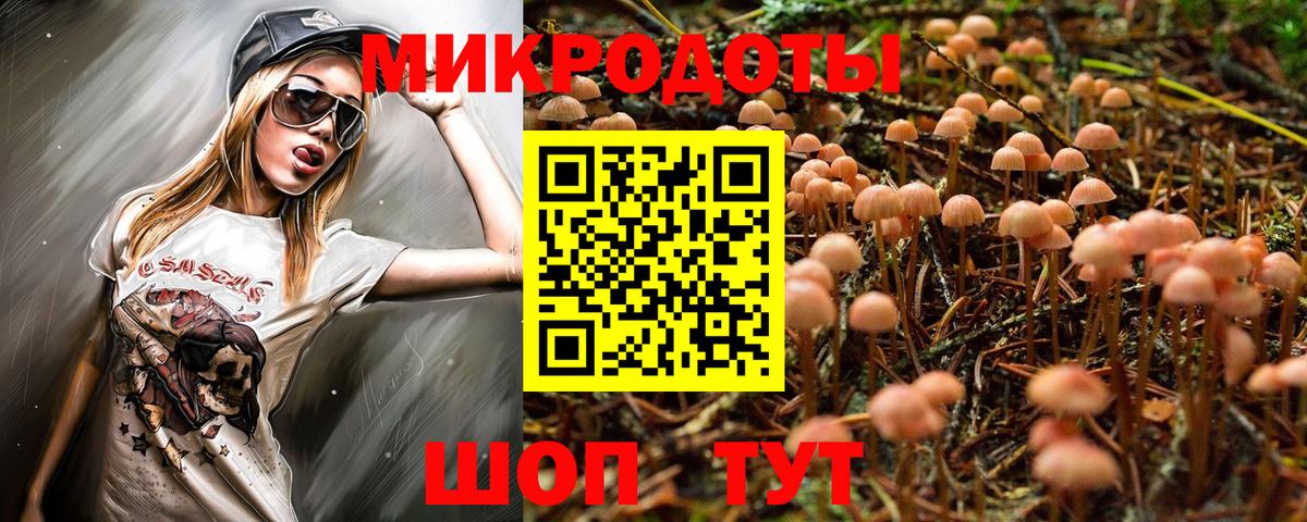 Чита  Галлюциногенные грибы прущие грибы  Вход с VPN 